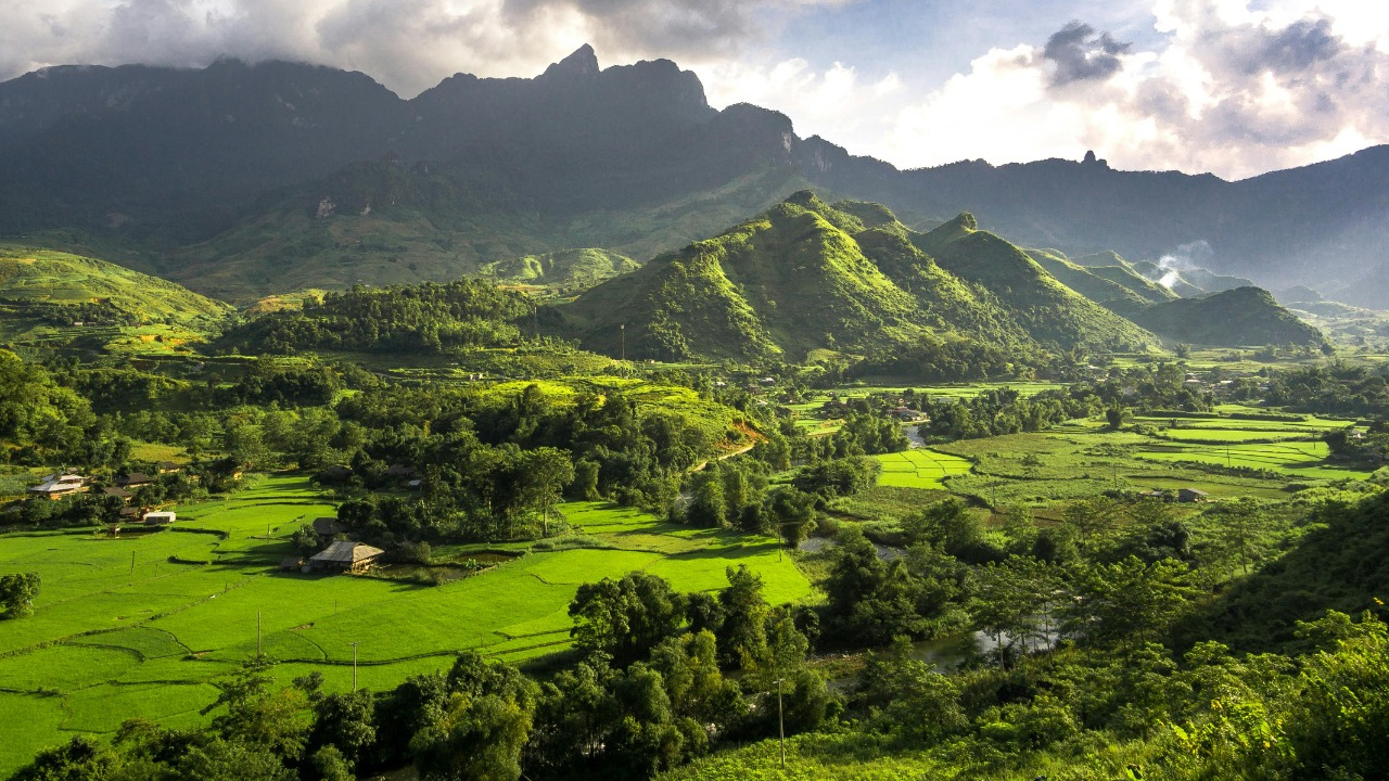 Farm Land & Farm House